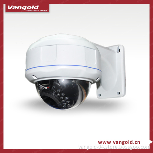 Security CCD Infrared Dome Camera (VG-E1725HR)